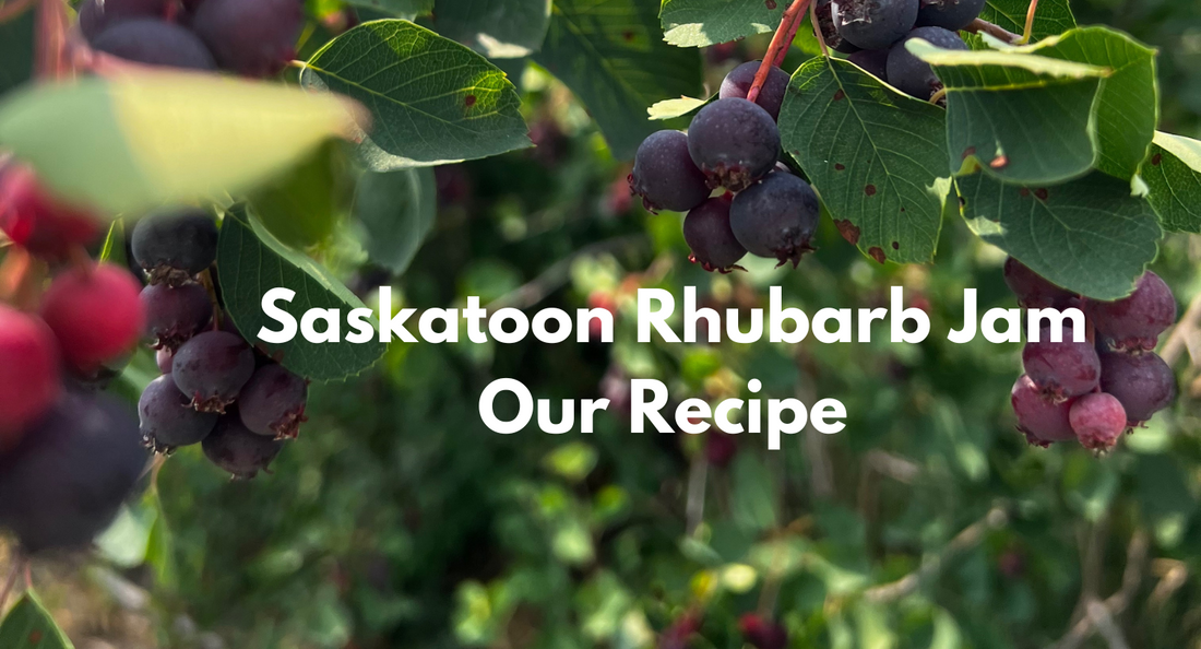 Saskatoon Rhubarb Jam