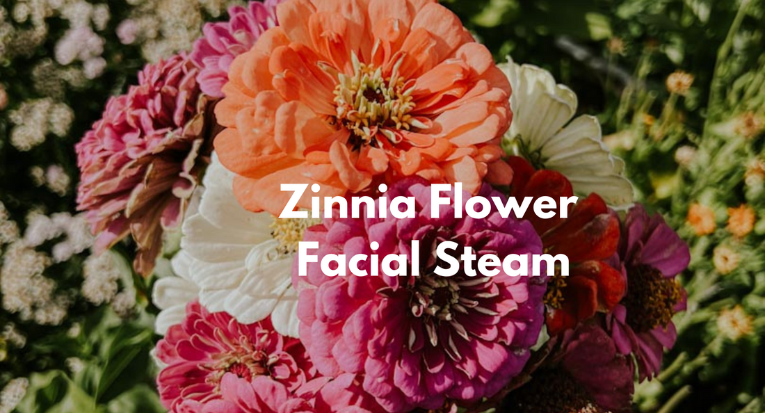 Revitalize Your Skin: Zinnia Flowers for Facial Steam 🌸