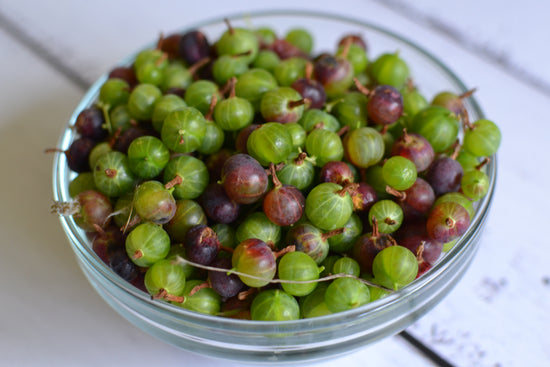 My Heirloom Wild Gooseberry Jam