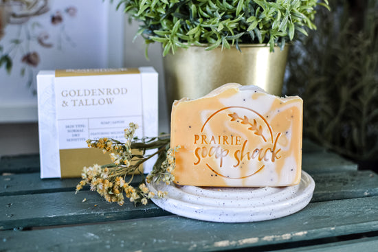 Goldenrod + Tallow Soap *Wild Goldenrod with Lemon*