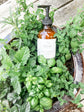 Herb Garden Body Lotion *Mint, Lavender + Thyme*